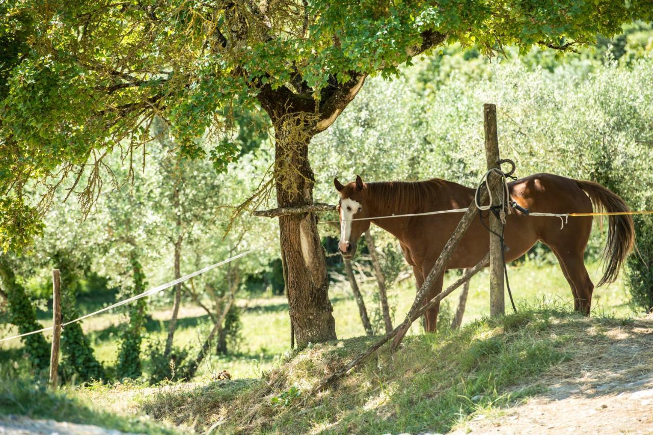 פונטאסייבה Agriturismo Fattoria Lavacchio מראה חיצוני תמונה