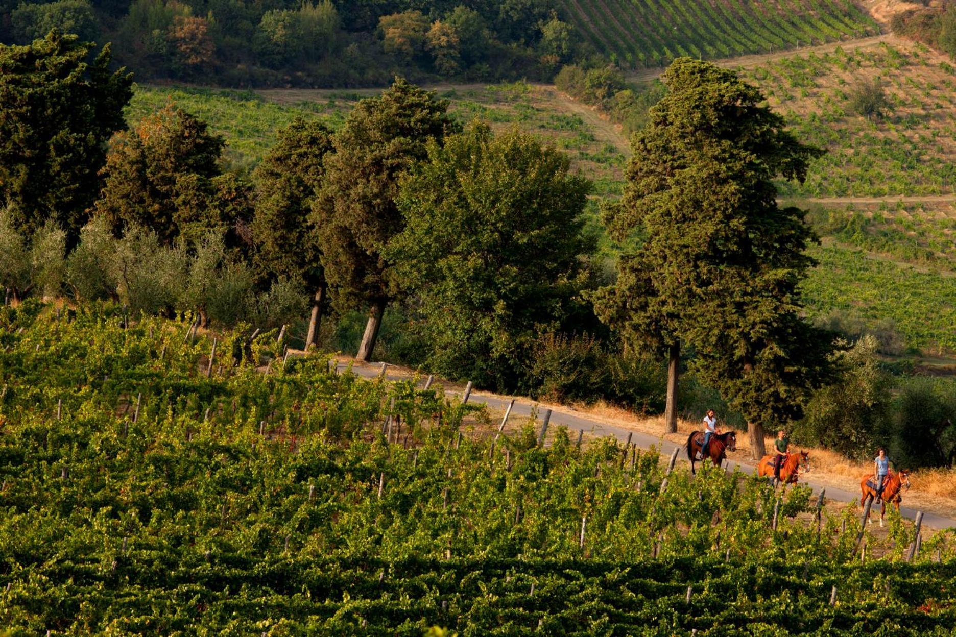 פונטאסייבה Agriturismo Fattoria Lavacchio מראה חיצוני תמונה