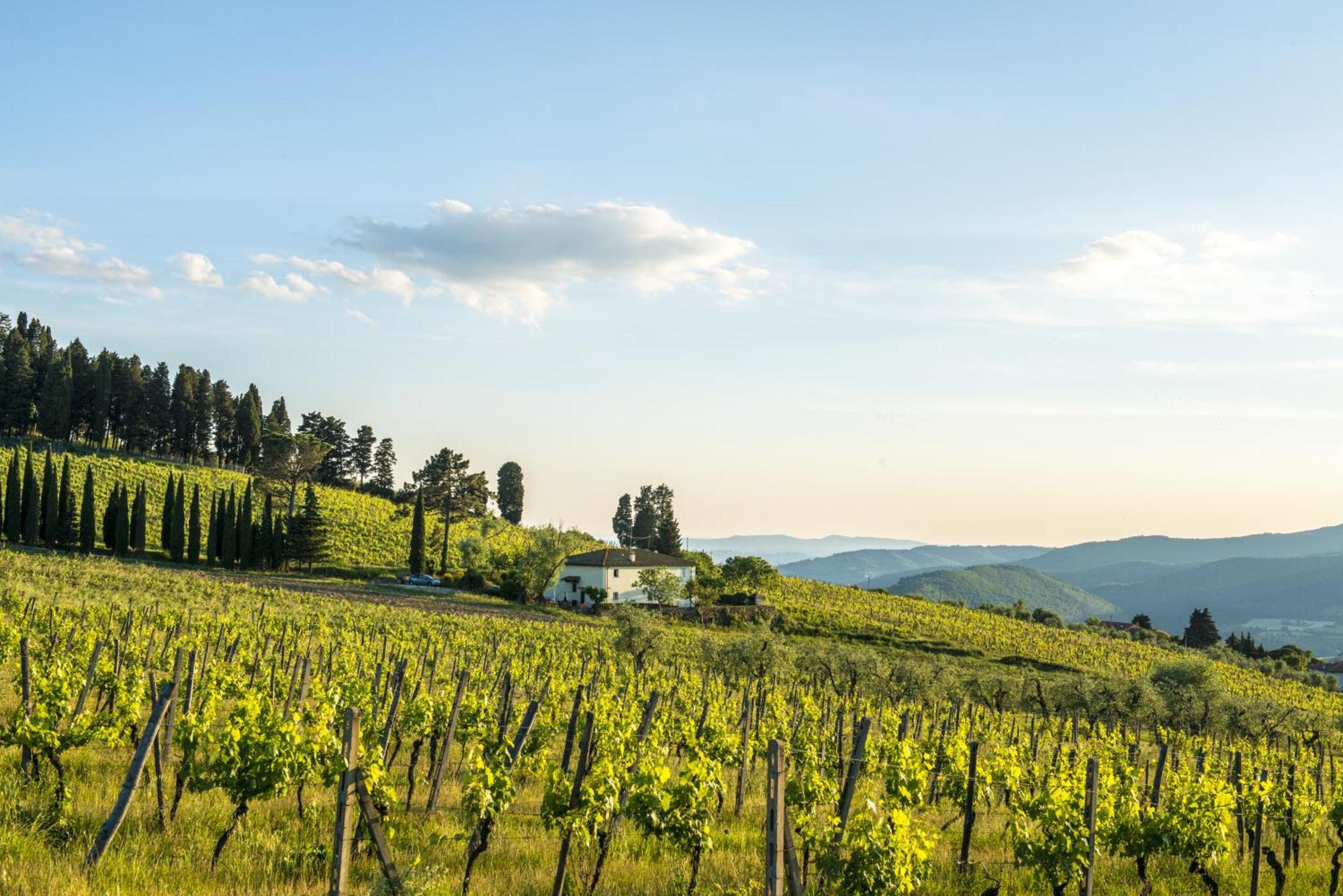 פונטאסייבה Agriturismo Fattoria Lavacchio חדר תמונה