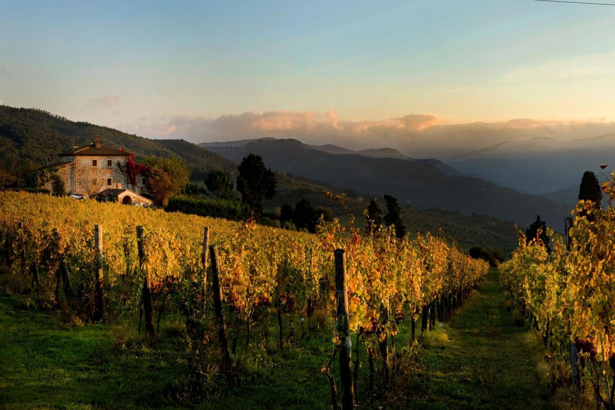 פונטאסייבה Agriturismo Fattoria Lavacchio מראה חיצוני תמונה